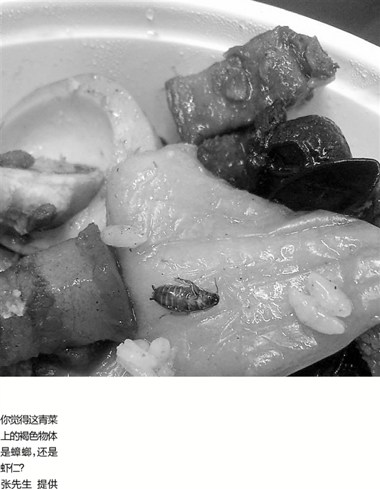 百年锅贴店里吃到这东西 服务员说蟑螂是虾仁 百年锅贴店里吃到这东西 服务员说蟑螂是虾仁