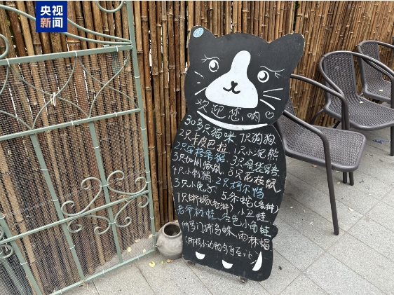 △一家开在商业街区的“猫艺体验馆”中饲养了众多外来野生动物