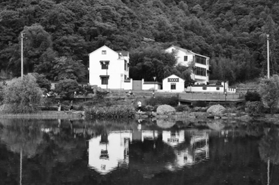 市民游客在杭州乡村享受“松弛感”