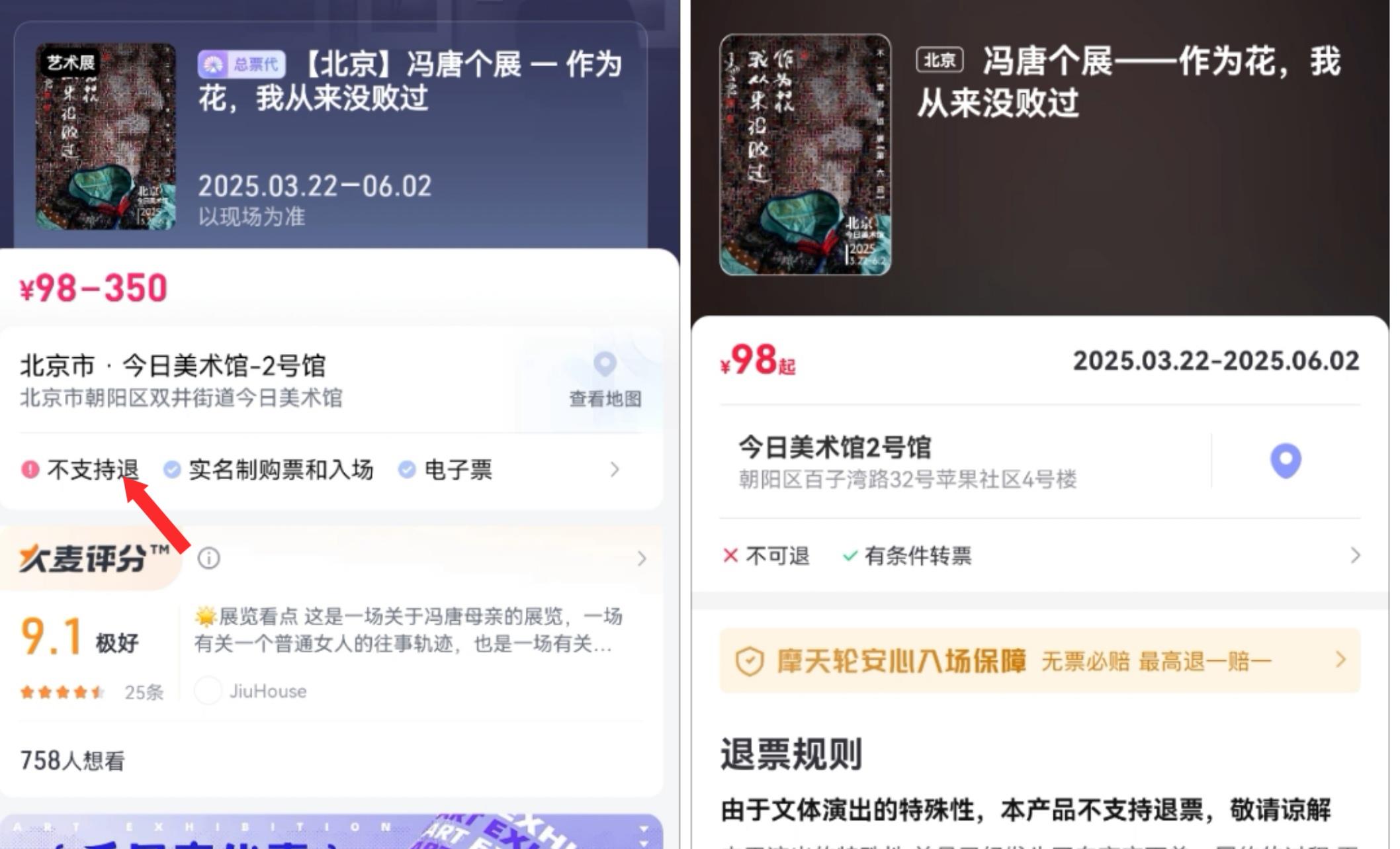 大麦和摩天轮票务平台的售票页面。资料图片