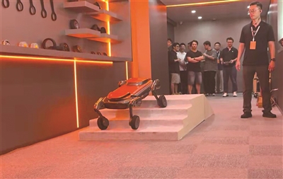 4S店里的机器狗 记者 杨亦淇 摄
